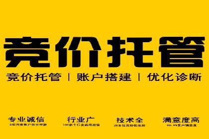 成功案例揭秘：信息流广告投放策略的五大成功案例